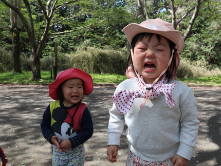 わたげ