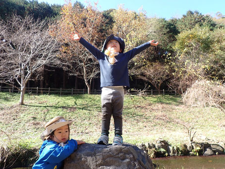 学び方