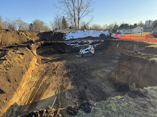 Bob cat in site be prepped for a new home 