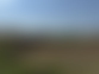 Exploring Professional Site Preparation Services