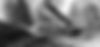 IMG_0559_edited.jpg