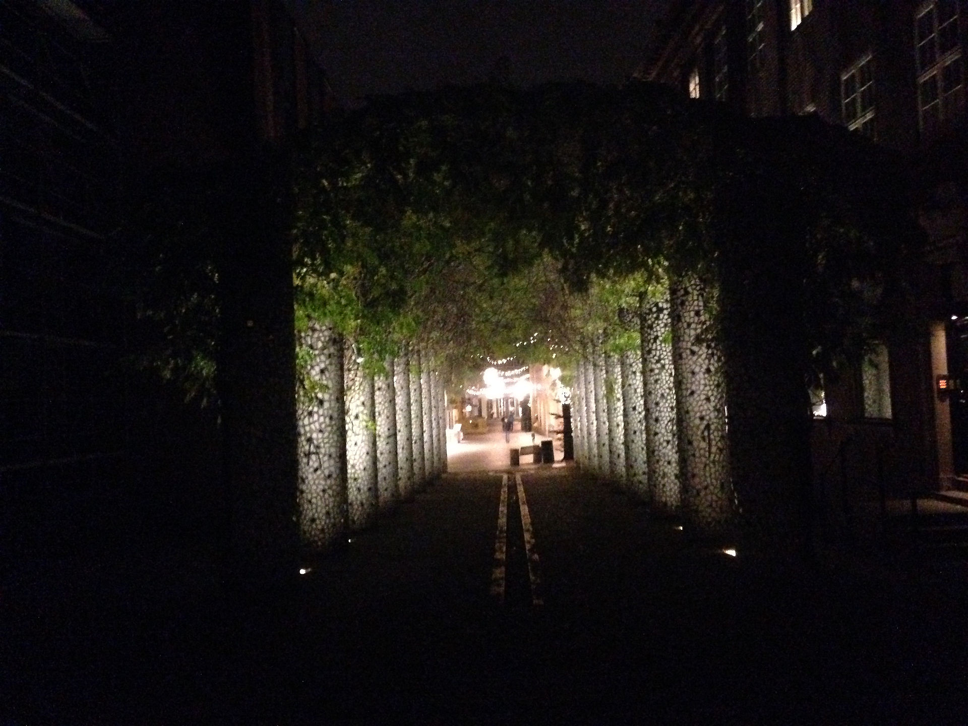 Tunnel to Christmas