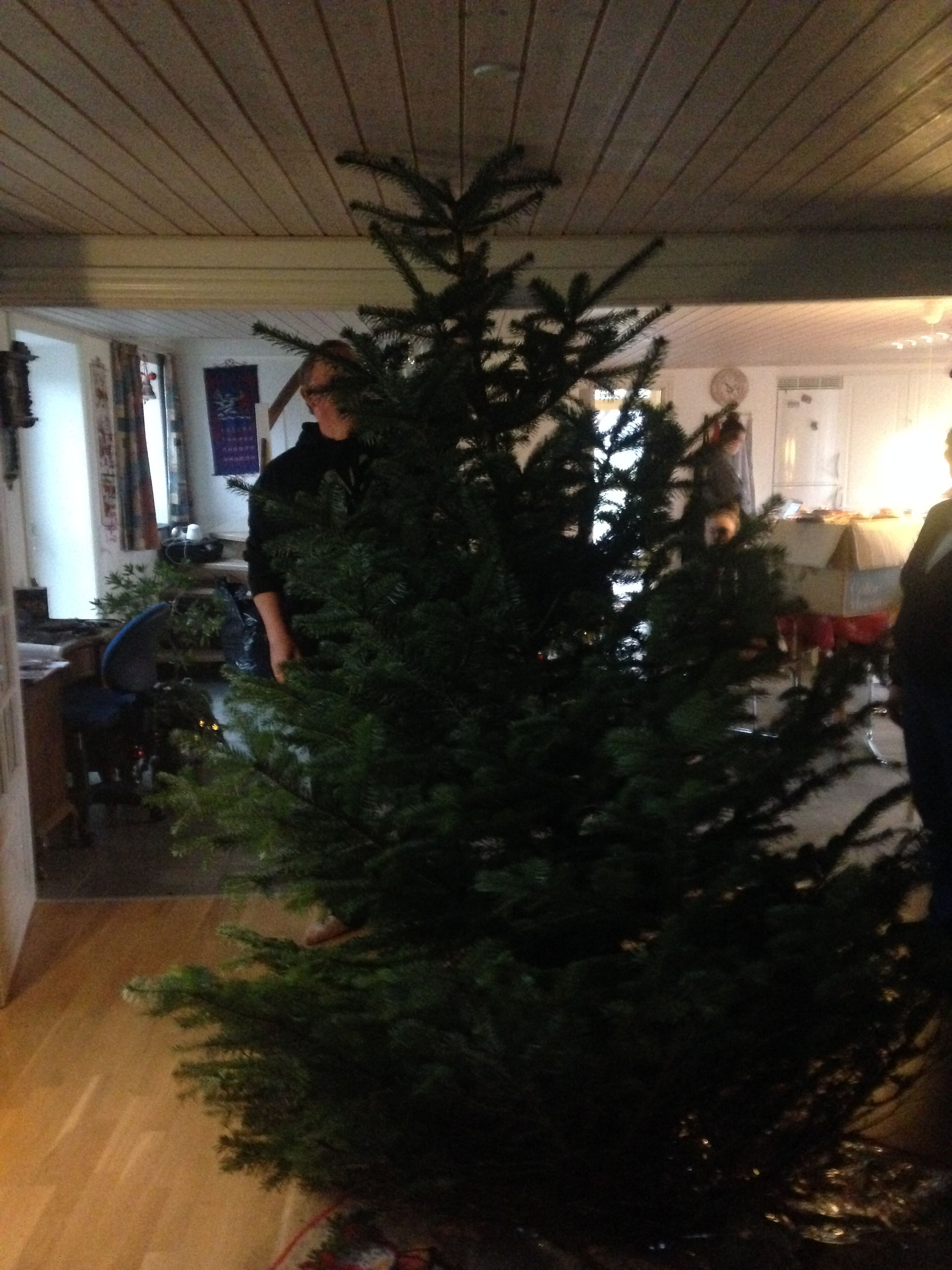 8ft tree + 7ft ceiling =