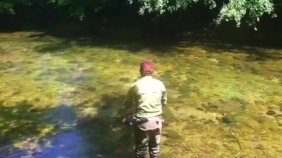 Fishing and fly fishing Casting School FLY FISHING BOSNIA