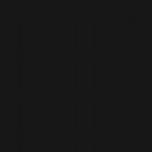 RP_Logo_White_7s.gif