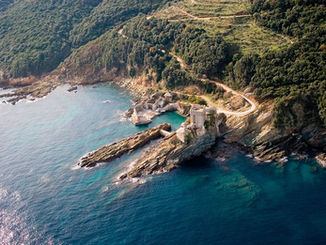 Treasures New and Old: The Mt Athos Repository Online
