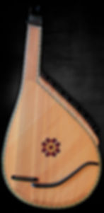 A Kyiv- or Chernihiv-Style Bandura