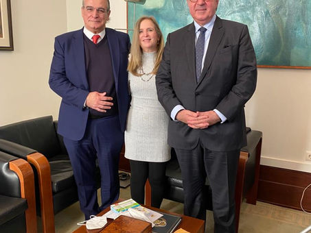 Magnífico Reitor da Universidade do Porto, Professor Doutor Médico António Manuel de Souza Pereira.