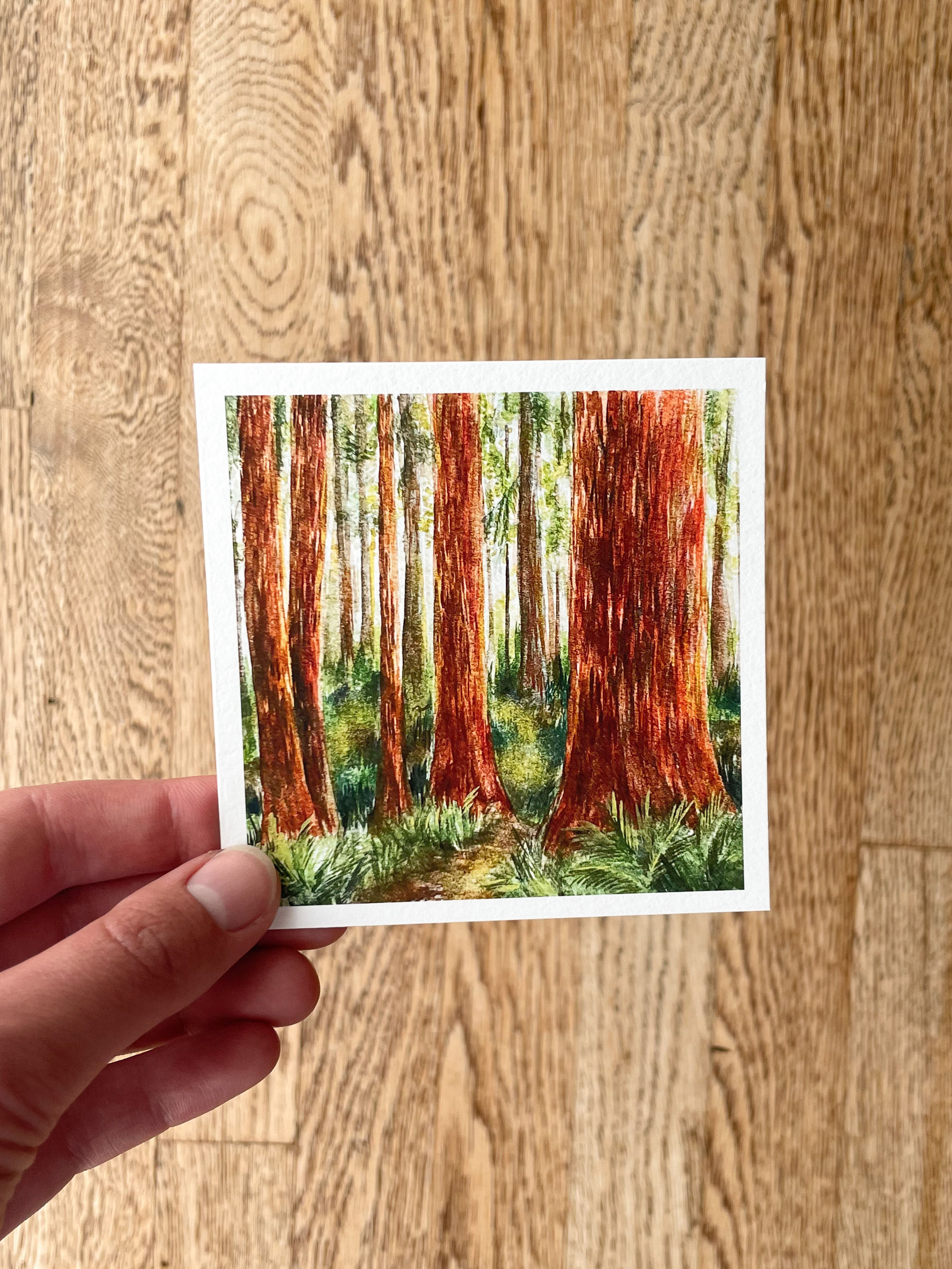 Redwood National Park 4x4" Mini Art Print | National Parks Collection