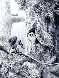 black and white painting of animals in a forest, including douglas squirrel, red tree vole, marbled murrelet, red-breasted nuthatch, spotted owl, douglas fir 