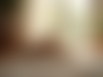 Top Pet Supplies Your Pet Needs