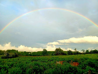 Healing Centre Meath Cavan Dublin Landscape View with Rainbow.jpg
