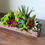 Thumbnail: In Stock: Rustic Bark Planter with Green + Rust Faux Succulents