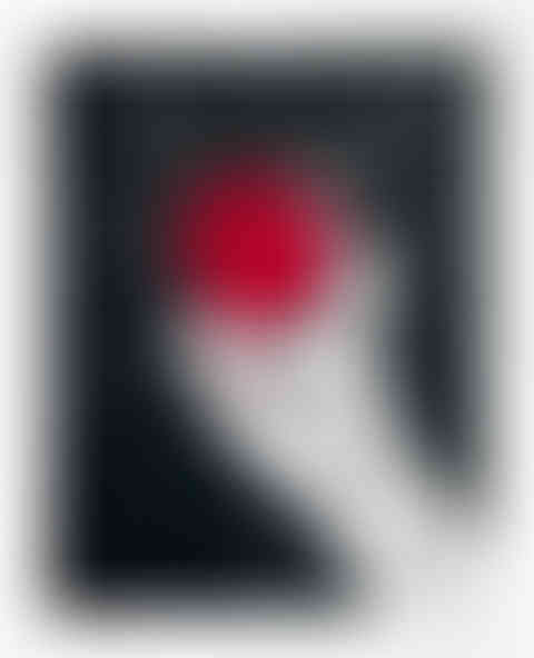 Original linocut relief print on paper in red, black and white. Wall art decor with a goth and witchy aesthetic. Art of Eve holding an apple with a feminist perspective.