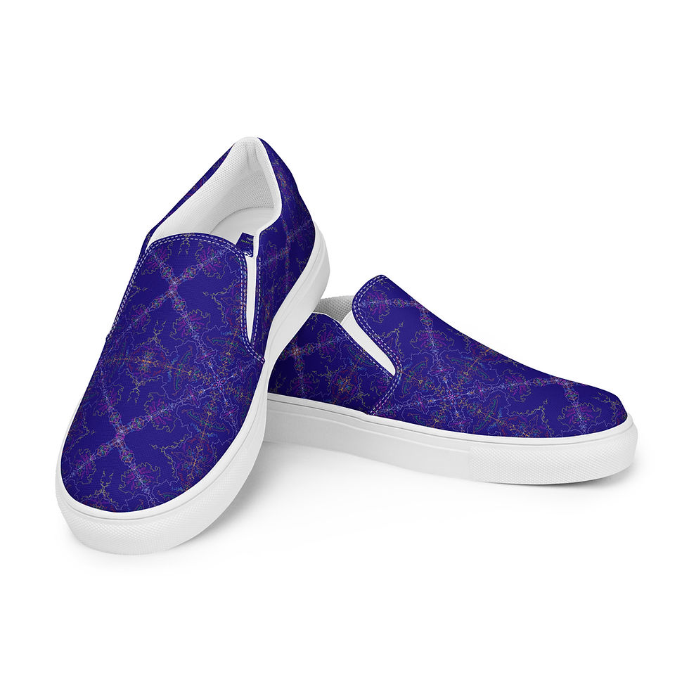 Thumbnail: Kashmiri Slipons (Women's)