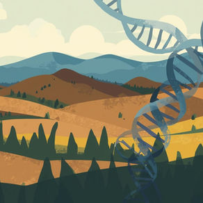 What is Genetic Counseling? A Guide  for Patients in Idaho