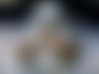 ***MNF IN THE SWAMP - NFC EAST 'OL FASHIONED WAR - DAL @ WASH***