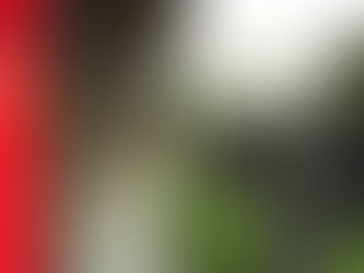 Abertura Espaço 114