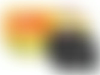 LINE特典申込者限定企画!