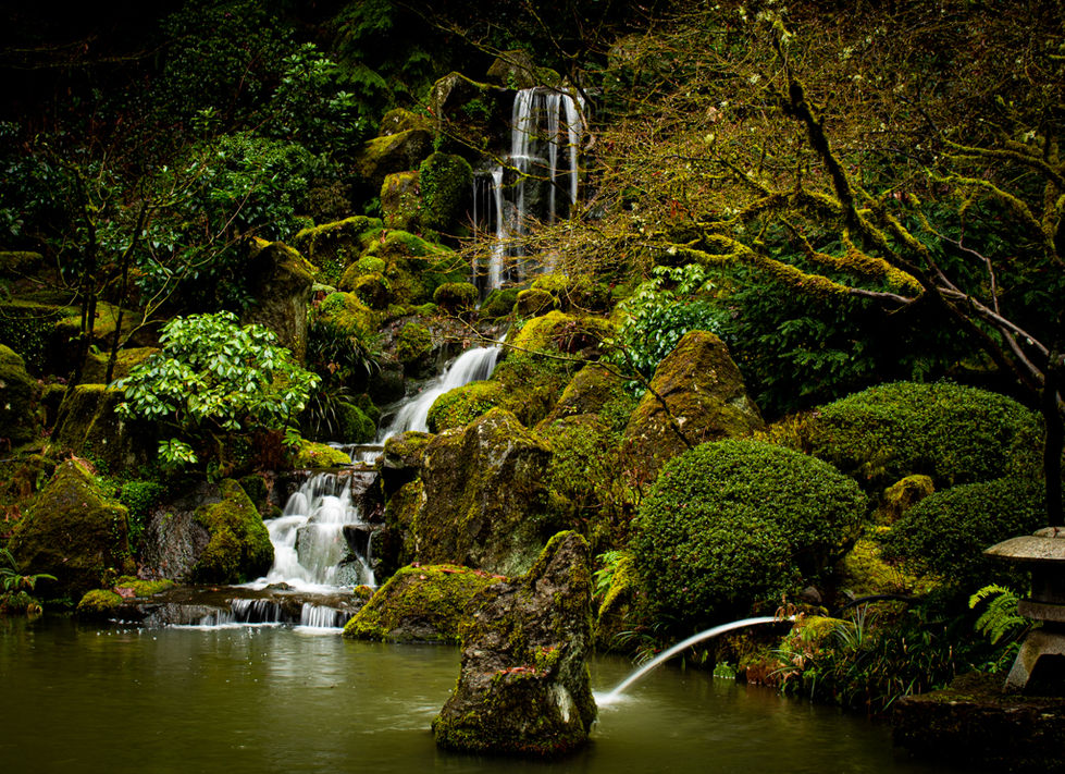 Japanese garden in Portland