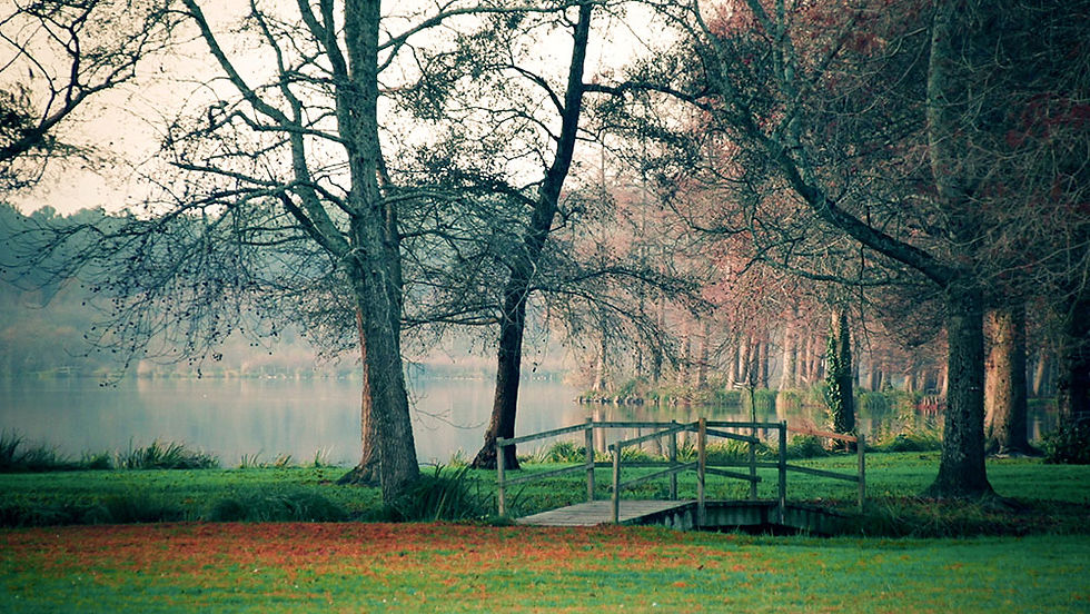 Paysages de Soustons