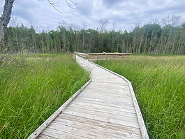 Talking Trail