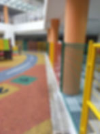 Coloured BRC fence