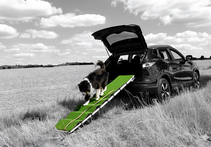 PAWVIA | dieHundeRampe Premium Teleskop Hunderampe fr Auto SUV  Extra  lang ber 2 m