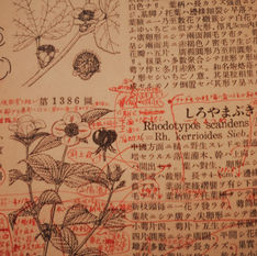 Makino Botanical Garden