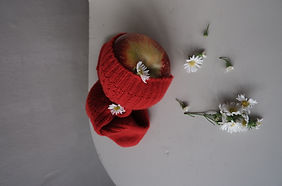 LAND / Flowershop POP UP  vol.1
Tokyo