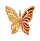 Amphoria Butterfly Logo
