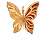 Amphoria Butterfly Logo