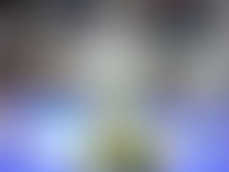 Scout's Notebook - Week Eleven Report