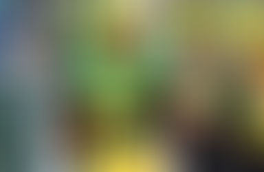 Bird's Eye View - TE Position Report