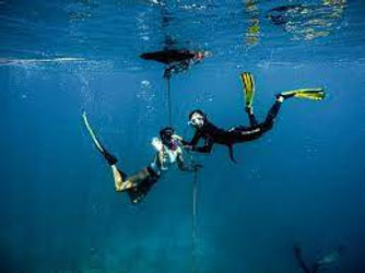Learn Freediving⭐ ⭐ ⭐ ⭐ 4.2