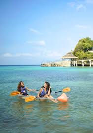 Service: Kayak Hire & Tours ⭐ ⭐ ⭐ ⭐ ⭐ 4.5
1