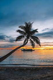 BOOK TODAY WITH AHDOGO