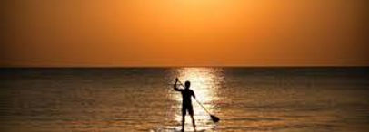 Stand-up paddle Board ⭐ ⭐ ⭐ ⭐ 4.2