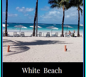 Motorcycle Island Tour⭐ ⭐ ⭐ ⭐ 4.5