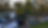 treeremovalIMG