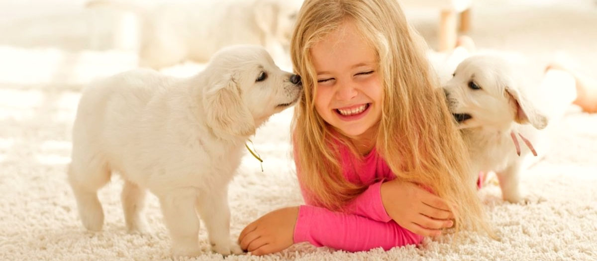 Professional Home Carpet Cleaning
