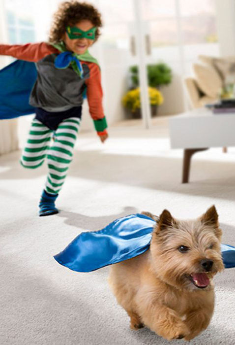 Playing on Clean Carpet.jpg
