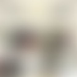 7月11日炭尽くしイベントのご案内