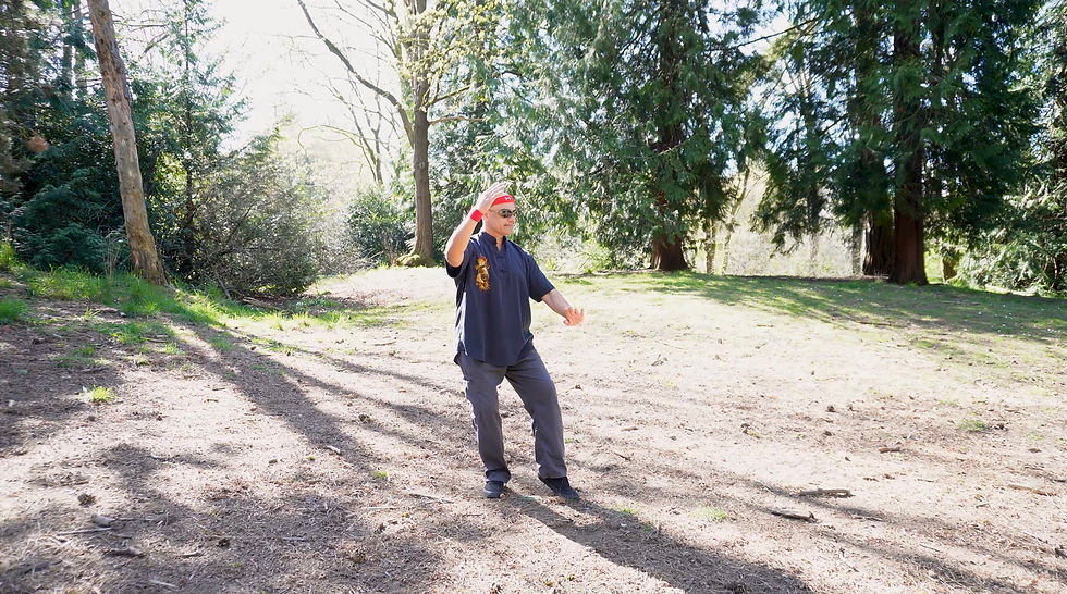 Sensei Jody Garcia, Martial Arts Master, performs his Five Families Tai Chi method.