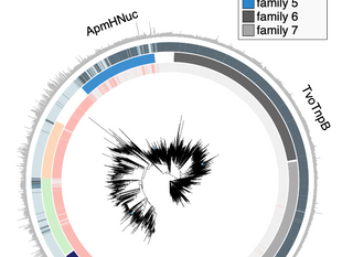 New pre-print on RNA-guided nucleases in eukaryotes