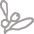 oliive01.png