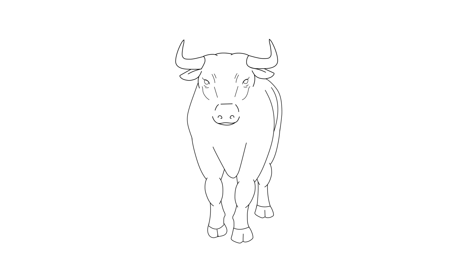 Bull Front View Walk