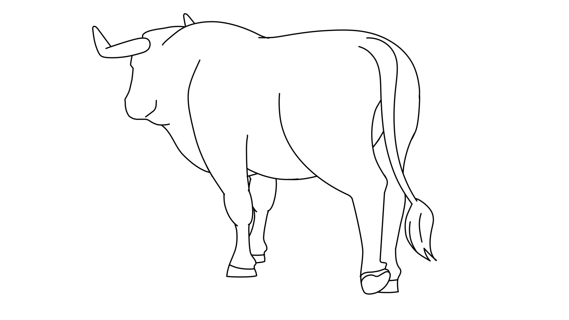 Bull Quarter View Walk