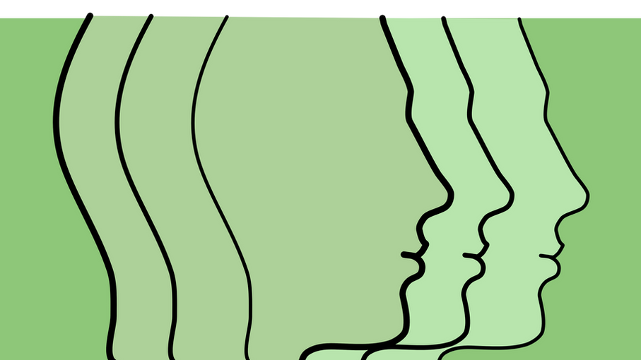 _cruise control SSS094