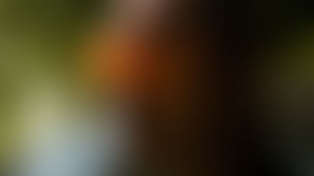 Futch _beneath the music